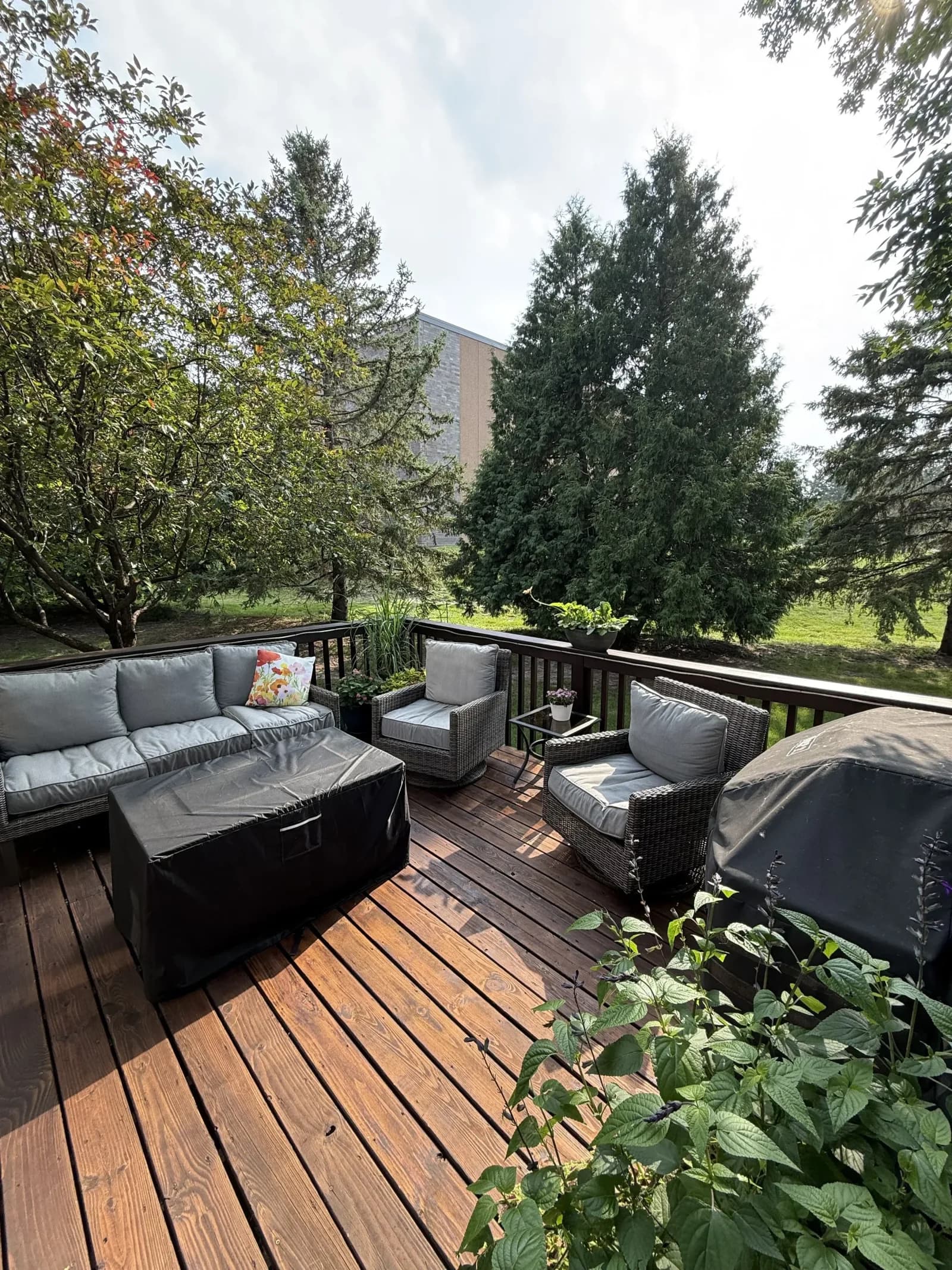 Beautiful refinished deck